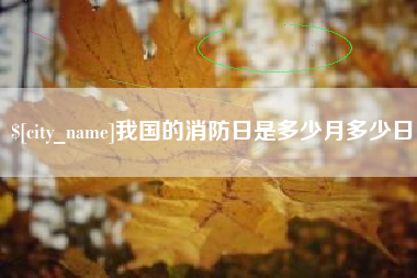 衡水我国的消防日是多少月多少日
