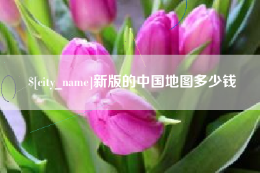 衡水新版的中国地图多少钱