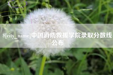 衡水中国消防救援学院录取分数线公布