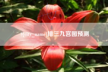 衡水排三九宫图预测