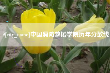 衡水中国消防救援学院历年分数线