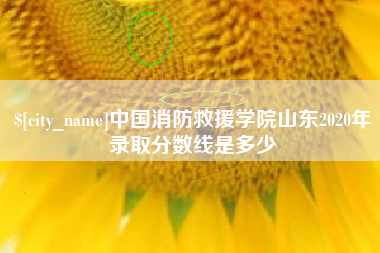 衡水中国消防救援学院山东2020年录取分数线是多少
