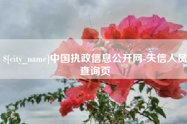 衡水中国执政信息公开网-失信人员查询页