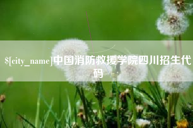 衡水中国消防救援学院四川招生代码