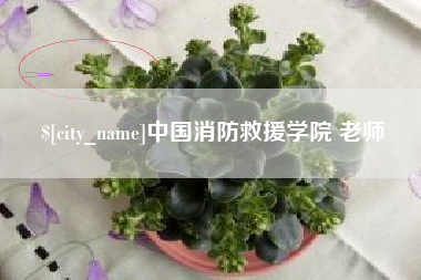 衡水中国消防救援学院 老师