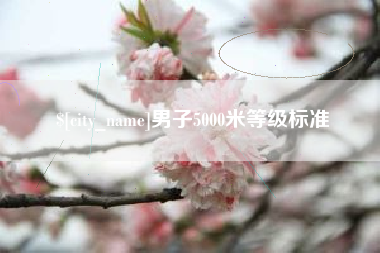 衡水男子5000米等级标准