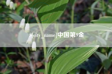 衡水中国第9金