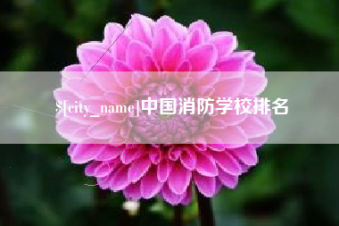 衡水中国消防学校排名