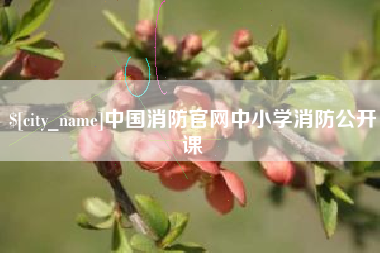 衡水中国消防官网中小学消防公开课