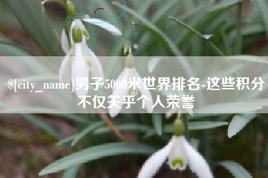 衡水男子5000米世界排名-这些积分不仅关乎个人荣誉