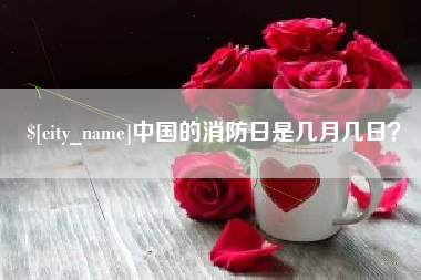 衡水中国的消防日是几月几日？