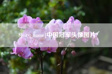 衡水中国冠军头像图片