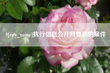 衡水执行信息公开网查到的案件