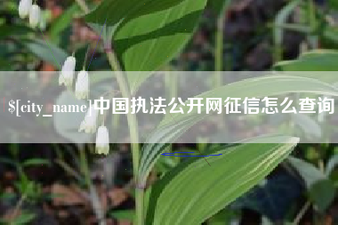 衡水中国执法公开网征信怎么查询