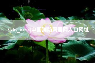 衡水中国消防网官网入口网址