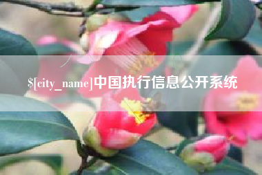 衡水中国执行信息公开系统