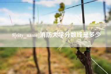 衡水消防大学分数线是多少