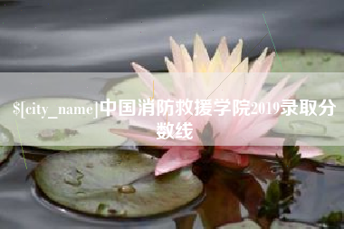 衡水中国消防救援学院2019录取分数线