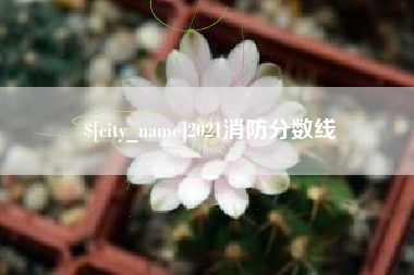 衡水2021消防分数线