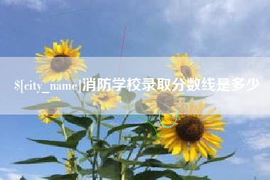 衡水消防学校录取分数线是多少