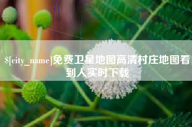 衡水免费卫星地图高清村庄地图看到人实时下载