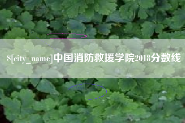 衡水中国消防救援学院2018分数线