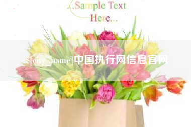 衡水中国执行网信息官网