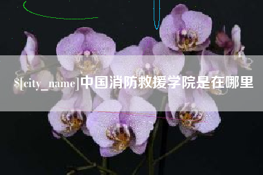 衡水中国消防救援学院是在哪里