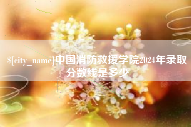 衡水中国消防救援学院2024年录取分数线是多少