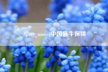 衡水中国最牛保镖