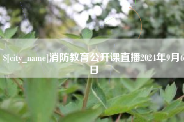 衡水消防教育公开课直播2024年9月6日