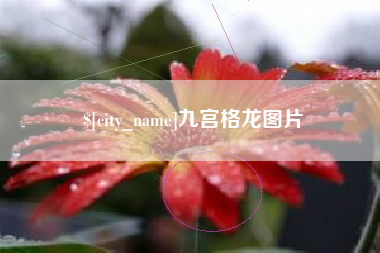 衡水九宫格龙图片