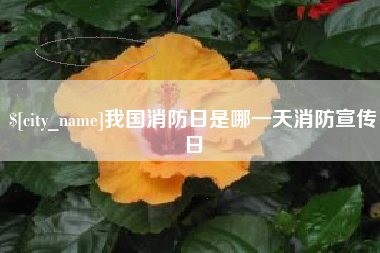 衡水我国消防日是哪一天消防宣传日