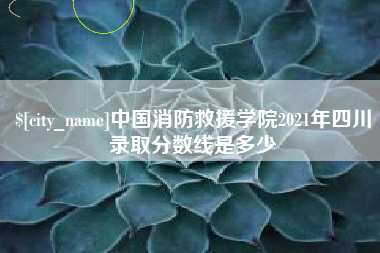 衡水中国消防救援学院2021年四川录取分数线是多少