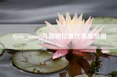 衡水九宫格位置代表成员图