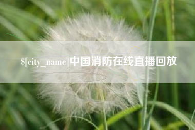 衡水中国消防在线直播回放