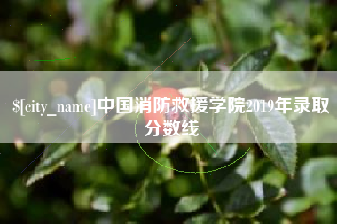 衡水中国消防救援学院2019年录取分数线