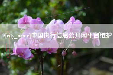 衡水中国执行信息公开网平台维护