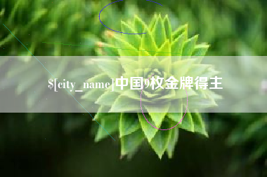 衡水中国9枚金牌得主