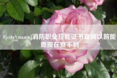 衡水消防职业技能证书查询以前能查现在查不到