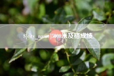 衡水5000米及格成绩