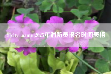 衡水2025年消防员报名时间表格