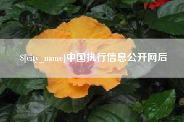 衡水中国执行信息公开网后
