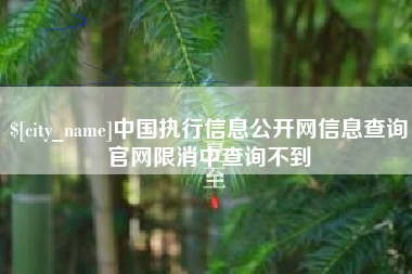 衡水中国执行信息公开网信息查询官网限消中查询不到