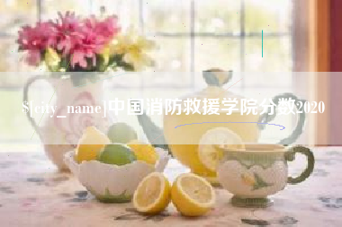 衡水中国消防救援学院分数2020
