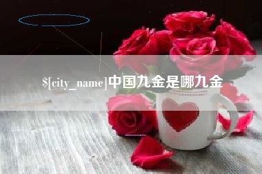 衡水中国九金是哪九金