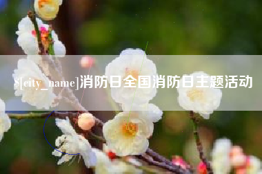 衡水消防日全国消防日主题活动