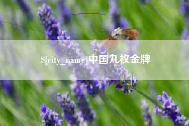衡水中国九枚金牌