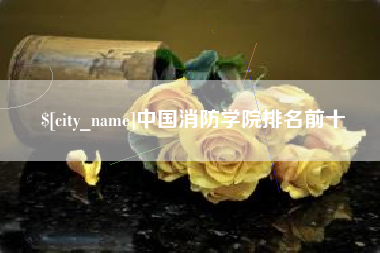 衡水中国消防学院排名前十