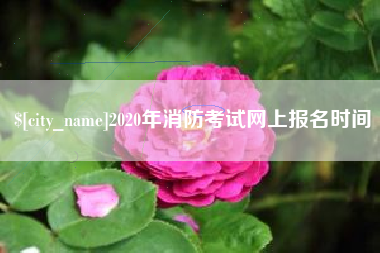 衡水2020年消防考试网上报名时间